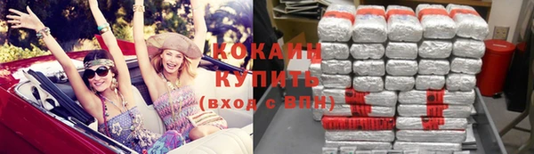 стаф Арсеньев
