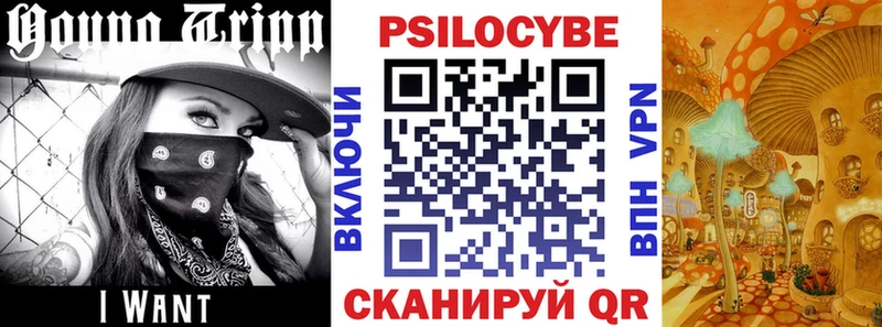 Псилоцибиновые грибы мухоморы Мамадыш